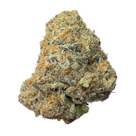 Watermelon Kush  (Indica)