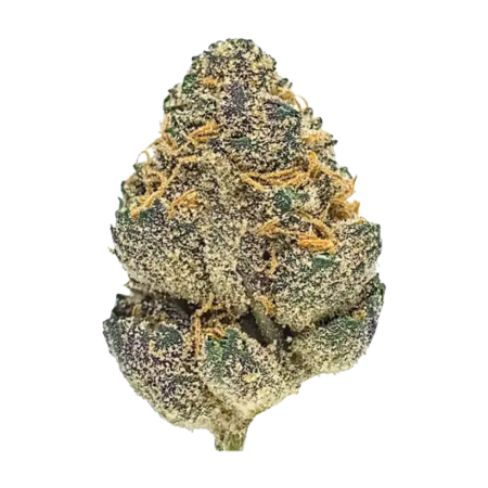 Zero Gravity #52 (Hybrid)